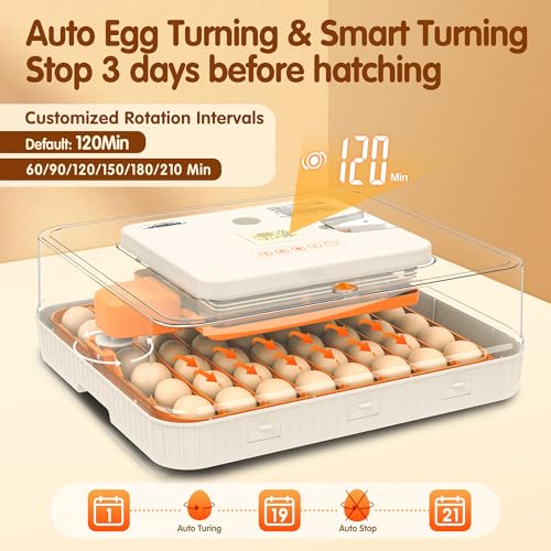 Incubator for Hatching Eggs, 56 Eggs Incubator with Automatic Egg Turning, Temperature & Humidity Control, LED Egg Candler, Incubation Days Display, for Chicken, Duck, Goose, Quail, Parrot Bird Eggs