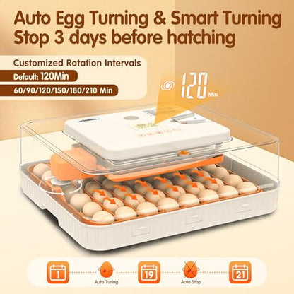 56 Egg Incubators for Hatching Eggs with Auto Egg Turner, Automatic Humidity & Temperature Control, LED Candle Light, Hatch Days Display, 360° View for Chicken, Duck, Goose, Quail, Bird Eggs - size: 20.0"L x 8.0"W x 18.0"H