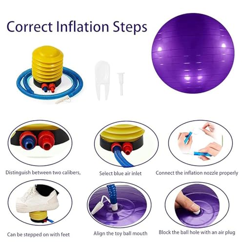 2pcs Horse Toy Balls with Inflation Pump, Suitable for Outdoor Entertainment, Training Balls for Horses and Goats (45cm/17.71inch) - size: 45cm/17.71inch