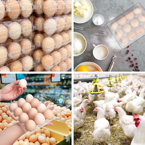 150 Pack Bulk Egg Cartons, Clear Plastic Chicken Egg Holders, Egg Tray Carton Holder for Home & Kitchen, Farm & Market Use, An Eco-Friendly Egg Storage Solution, 12 Grids - size: 150 Pack Egg Cartons 12 Grids 3x4