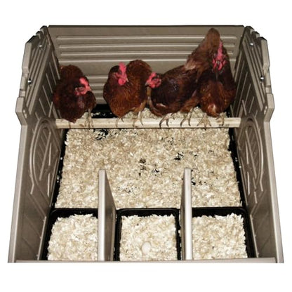 SnapLock Formex Standard Chicken Coop for 4 Chickens – Durable Plastic Hen House with Easy Assembly, Ventilation, Removable Tray & Walk-in Access | Lightweight Outdoor Casa para Gallinas - style: Standard Coop