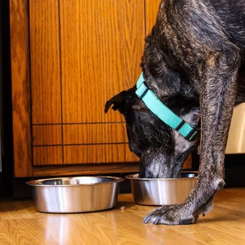 Stainless Steel Dog Bowl 2-Pack Metal Food and Water Dish (8.1" inch Outer Diameter) Pet Feeder Replacement Bowls Dishwasher Safe, Easy to Clean (7 Cups) - size: 7 cups