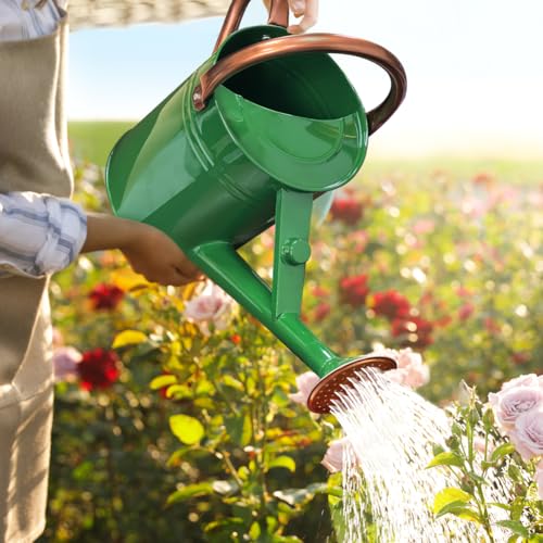 1 Gallon Metal Watering Can with Removable Spout, Nice Galvanized Steel Water Can for Indoor and Outdoor Plants (House Plants) - color: Green
