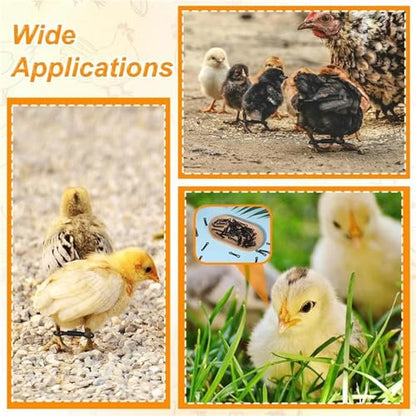 Chicken Leg Bands 600 Pcs Adjustable Chicken Leg Band, for Baby Chick 150 Pieces Hobble Braces, Poultry Spraddle for Newborn Chicks of 1 to 3 Days