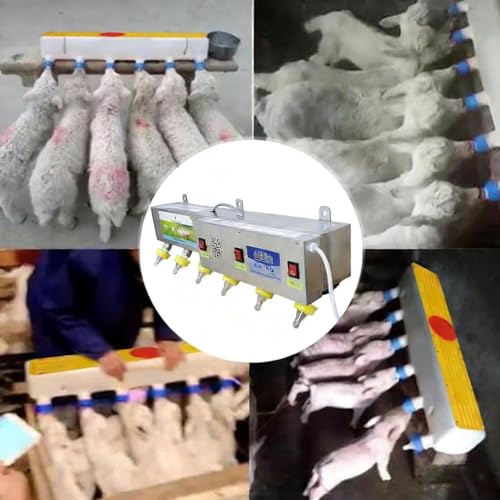 Lamb Piglet Milk Feeder Automatic, Stainless Steel 6 Nipple Livestock Feeding Station with Constant Temperature and Sound Simulation to Attract Feeding, Farm Milk Feeder for Lambs and Piglets