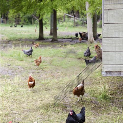 2 PCS Chicken Coop Ramp with Cable Ties, Black Adjustable Length (16.5-29.5 Inch) Iron Wire Ladder for Coop Henhouse Leg Problem or Cannot Fly Chickens, Waterproof