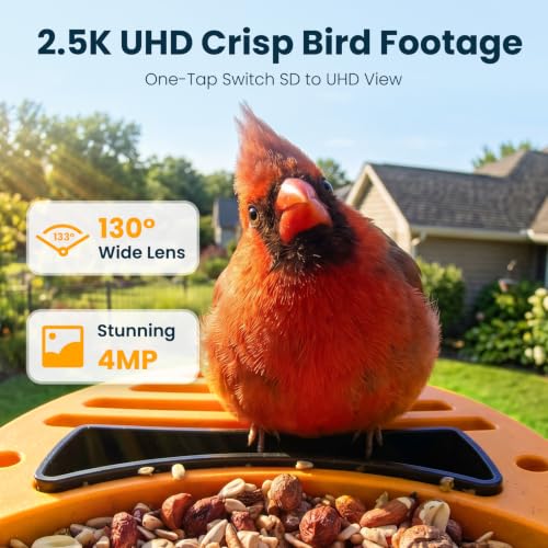 Smart Bird Feeder with Camera, Green | 2.5K UHD, AI Identifies 11,000+ Bird Species, Real-time Videos & Pictures, Solar Powered, Wireless for Outdoor, Gift - color: Green