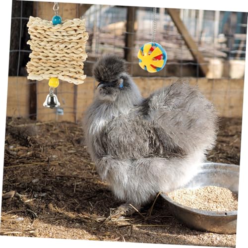 5PCS Chicken Set for Hens and Parrots Hanging Chewing and Feeder for Bird Exercise and Entertainment Hanging for Poultry and Pet Birds Random Color