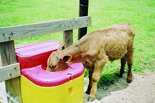 Ritchie Thrifty King CT2 2000 Energy Free Waterer Cattle Horses