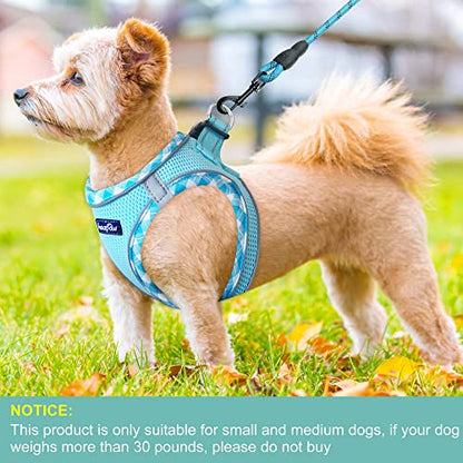 haapaw Dog Harness with Leash Set, No Pull Adjustable Reflective Step-in Puppy Harness with Thickened Padded Vest for Extra-Small/Small Medium Dogs - color: Turquoise, size: S