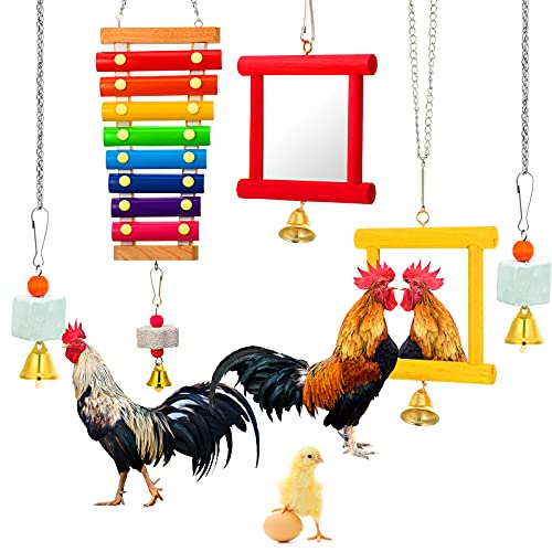5-Piece Colorful Wooden Xylophone Chicken Coop Mirrors with Bells for Hens, Chicks & Parrots