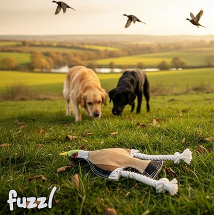 Fuzzl Eco Leather Pip Pheasant Toy Natural and Tough Dog Toys - Long Lasting Chew Toys for Aggressive Chewers - Strong Dog Toy for Dogs and Puppy - style: Pheasant