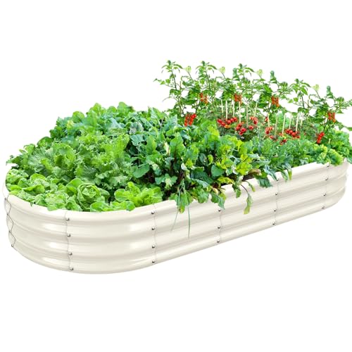 TBMLC Oval Galvanized Planter Box, Metal Raised Garden Bed - 0.8MM Thick- Ideal for Outdoor Gardening and Planting of Vegetables Flowers Fruits Succulent Plants and Others (White, 6X3X1 FT) - color: White, size: 6X3X1 FT