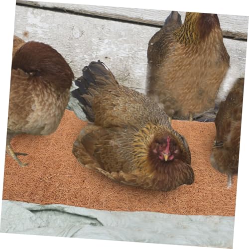 BESPORTBLE 4pcs Reusable Coconut Nesting Pads for Chicken Coop Washable Nest Box Liners Soft and Cozy Egg Laying Mats for Hens Suitable for All Chicken Easy to Clean and Maintain