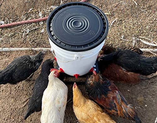 Noble Nest 5 gal. Incubator with 5 Nipple Side Waterer and Black Stand - color: Add Black Waterer Stand, size: 5 Nipple, Side Waterer