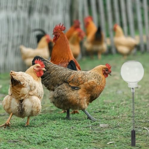 DOITOOL 4PCS Chicken Feeding Toy, Enrichment Toys with Spring and Ground Stake, Swing Treat Dispenser for Hens, Poultry, Duck, Birds, Parrot, Cat