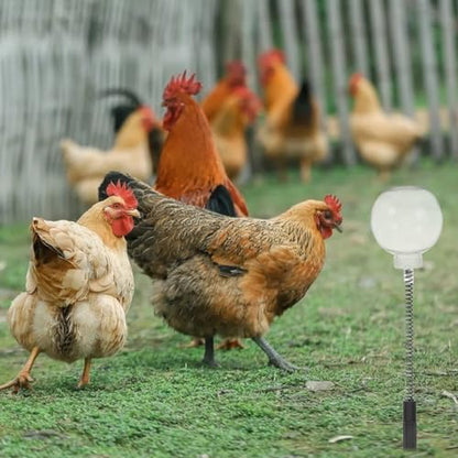 DOITOOL 4PCS Chicken Feeding Toy, Enrichment Toys with Spring and Ground Stake, Swing Treat Dispenser for Hens, Poultry, Duck, Birds, Parrot, Cat
