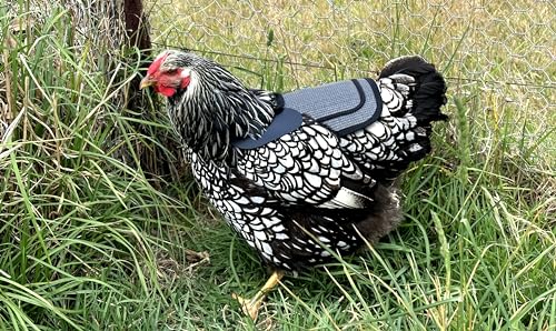 DOWN UNDER OUTDOORS Chicken Saddle with Adjustable Straps for Medium and Large Hens, Chicken Apron, Poultry Saver, Pet Supplies, Including Shoulder Cover (Grey Mesh) - color: Grey Mesh