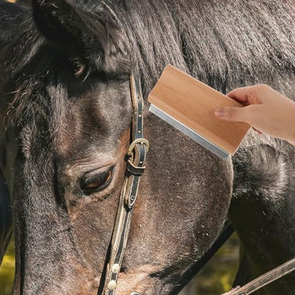 Ergonomic Horse Brush for Grooming Large Livestock Non-slip Handle Deshedding Tool and Cattle Moderate Curve Skin-friendly Cleaning Scraper with Massage Function