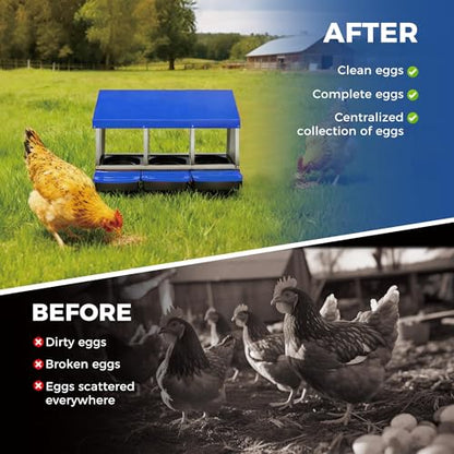 Chicken Nesting Boxes, Heavy-Duty 8-Compartment Metal Chicken Nesting Box – Removable Tray, Ventilation Holes, Easy Egg Collection, Rustproof Galvanized Steel - Blue - 3 - Slot - color: Blue, size: 3 - Slot