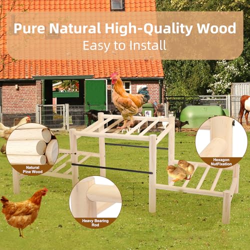 Chicken Perch, Natural Beech Wood Roosting Ladder, Chick Perch for Strong Wooden Roosting Bar for Poultry, Jungle Gym & Toys.