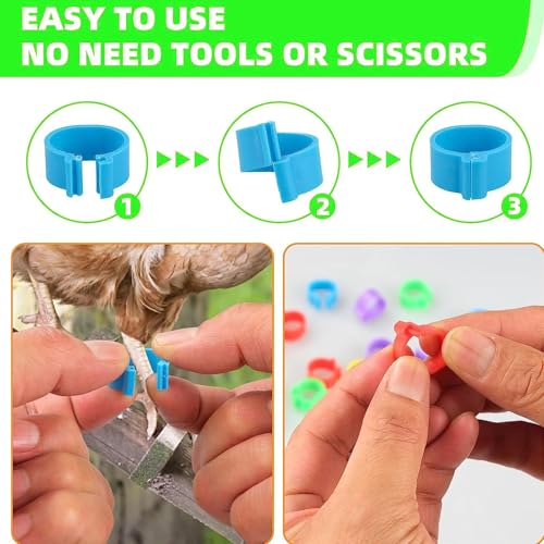 100pcs Chicken Ankle Bands, Multicolor Poultry Leg ID Clips Numbered Chick Identification for Farm Breeding Durable Plastic