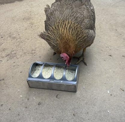 4 8 12 Holes Chicken Feeder with Removable Lid, Lightweight Anti-rust Water Trough Replacement Part, Feed Trough for Chicken Brooder(L60cm/23.6"(12 Slots)) - size: L60cm/23.6"(12 Slots)