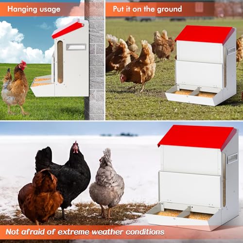 Automatic Chicken Feeder No Waste, Wall Mount| Weatherproof| Mess Free | Galvanized Hanging Poultry Feeder with Lid| Metal Chicken Feeder Trough Food Dispenser for Duck Geese|Hens| Turkeys Coop