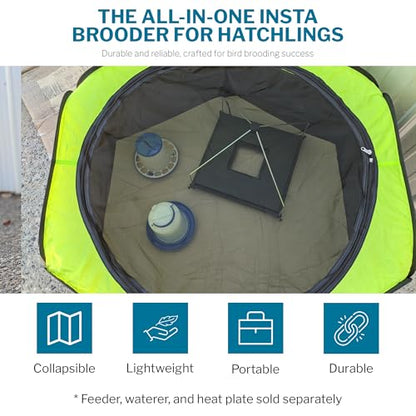 Insta Brooder™ for Hatchlings, Chicken Pop Up Playpen, 10.5 x 10 x 4 inches