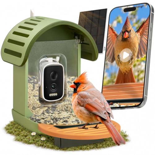 Smart Bird Feeder with Camera, Green | 2.5K UHD, AI Identifies 11,000+ Bird Species, Real-time Videos & Pictures, Solar Powered, Wireless for Outdoor, Gift - color: Green