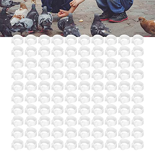 Chicken Leg Bands 100PCS 8mm Poultry Leg Rings Chicken Leg Rings Quail Leg Bands Bird Identification Leg Bands Poultry Leg Rings (White) - color: White