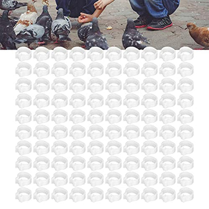 Chicken Leg Bands 100PCS 8mm Poultry Leg Rings Chicken Leg Rings Quail Leg Bands Bird Identification Leg Bands Poultry Leg Rings (White) - color: White