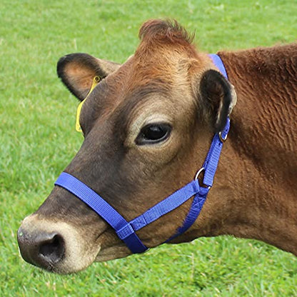 Derby Originals Adjustable Nylon Livestock Cattle Halters - color: Black, size: X-Large (1400-2000+lbs)