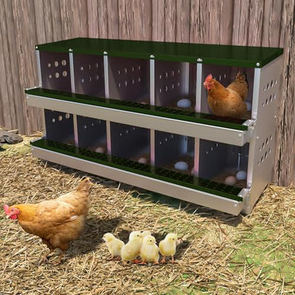 Chicken Nesting Box, 10 Compartment Roll Away Laying Box for Hens, Heavy-Duty Galvanized Steel, Front Egg Collection Tray, 10 Training Eggs Included - color: Green, size: 10 Compartments & 10 Eggs