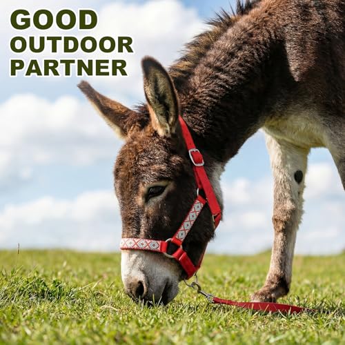 1 Set Miniature Donkey Halter with Lead Ropes, Cute and Stylish Adjustable Nylon Head Collar Set for Miniature Donkeys (Red) - color: Red