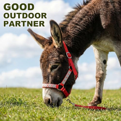 1 Set Miniature Donkey Halter with Lead Ropes, Cute and Stylish Adjustable Nylon Head Collar Set for Miniature Donkeys (Red) - color: Red