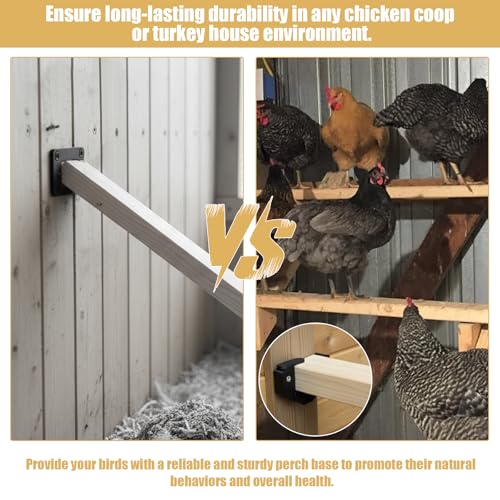 Heavy Duty Poultry Roost Bar Mount Brackets (4Pack) Includes Screws for Chicken Coops & Turkey Houses Easy Install/Remove Perch Holder for 2x4 Flat Lumber Durable Black Design (4Pcs 2x4) - size: 4Pcs 2x4"