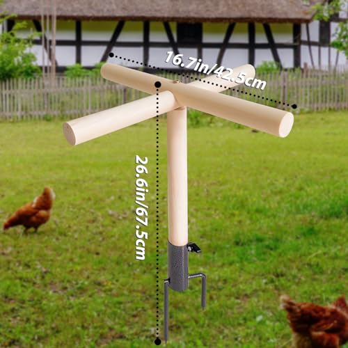 Chicken Gifts for Women, Chicken Coop Accessories, Christmas Birthday Gifts for Chicken Lovers, Chicken Roosting Bars Perch & Swing Toys for Coop, Chicken Ladder Playground for Chicks
