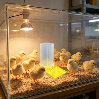 Baby Chick Feeder and Waterer Set, Poultry Starter Kit, Chick Feeder & Gravity Waterer, Compact Brooder Supplies for Chicks, Ducklings and Small Poultry (B) - color: b