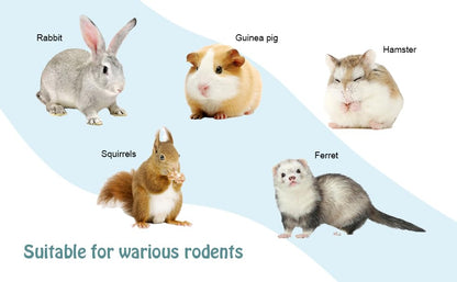6pcs Stainless Steel Rabbit Water Nipples Automatic PVC Tees Rodent Waterering System - color: whte, size: Large