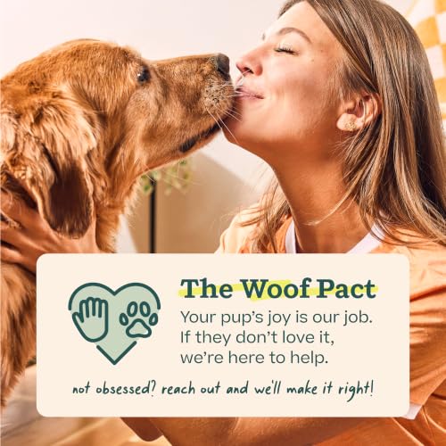 WOOF HonestChew Dog Toy Infinity - Durable Dog Chews - Made with Natural, Plant-Based Ingredients - Splinter-Resistant - Safer Than Dog Bones - Medium - size: Medium