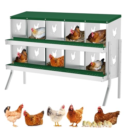 Hetoy Chicken Nesting Box, Multi-Compartment Metal Hen Laying Box with Breathable Holes & Resting Platform, Wall Mounted/Floor Rollaway Nesting Boxes for Laying & Collection Eggs, 10 Grids - color: Green with stand, size: 10 Compartment