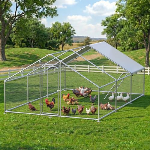 Large Metal Chicken Coop Run with Roosting Perch, Outdoor Waterproof & UV-Resistant Cover for Chickens, Ducks, Rabbits, and Hens in Yard or Farm Use Spire Roof (13.1'Wx19.7'Lx 6.5'H) - size: 236.0"L x 157.5"W x 78.0"H