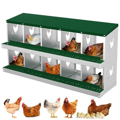 Heavy-Duty Galvanized Steel Chicken Nesting Box – 10 Large Vented Compartments, Rollout Egg Collection, Easy Install & Clean – Green - color: Green, size: 10-Holes