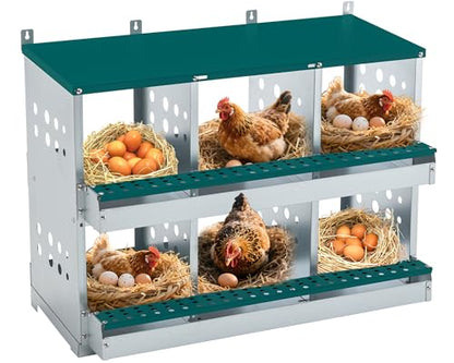 Yafylly Chicken Nesting Box 6 Compartments, Metal Chicken Laying Boxes Wall Mountable, Easy Egg Collection Roll Away Nesting Boxes Chicken, Chicken Coop Nesting Boxes for Hens Laying Eggs - color: Green, size: 6-Hole