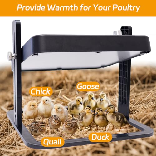 UL/ETL Certified Chick Brooder Heater Plate, 10" x 10" Adjustable Height & Temperature (113°F-158°F) Poultry Heating Plate, Safe & Energy-Efficient Heat Lamp Alternative for Up to 20 Chicks