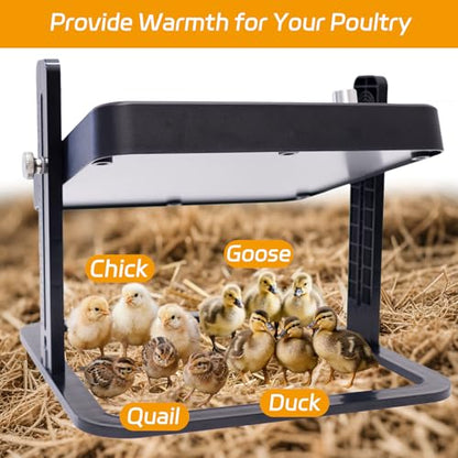 UL/ETL Certified Chick Brooder Heater Plate, 10" x 10" Adjustable Height & Temperature (113°F-158°F) Poultry Heating Plate, Safe & Energy-Efficient Heat Lamp Alternative for Up to 20 Chicks