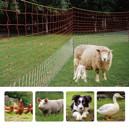 Electric Premium Poultry Netting Fence 59”H x 98.5’L - Versatile Portable Electric Fencing for Flying Chicken Sheep Goats Deer Hogs Dogs, Used in Backyards Homesteaders Farms and Ranches, PK2 - size: 59”H x 98.5’L x 2