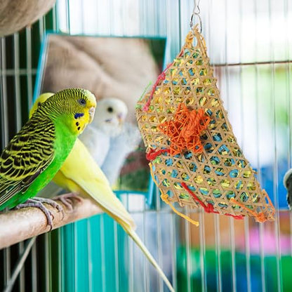 Beaupretty 5PCS Chicken Treat Ball Kit Hanging Bird Set for Parrots and Chickens with Feeder Ball Chewing and Weaving for Pet Entertainment and Foraging Random Color