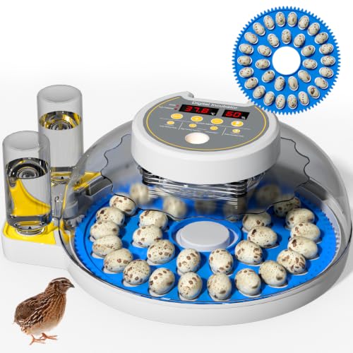 32 Quail Egg Incubator for Hatching Eggs, Dual Power Supply, Automatic Egg Turner, Humidity & Temperature Monitor, Egg Candler, External Water Filling, Bird Egg Incubator for Quail Dove
